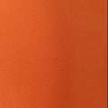 Rasna swatch