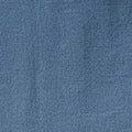 Blue Ashss swatch
