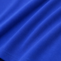 Royal Blue swatch