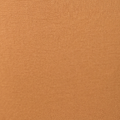 Special Mustard swatch