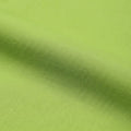 Chutney Green swatch