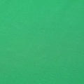 Light Parrot Green swatch