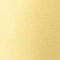 Mango swatch