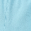 Aqua swatch