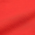 Solid Red swatch