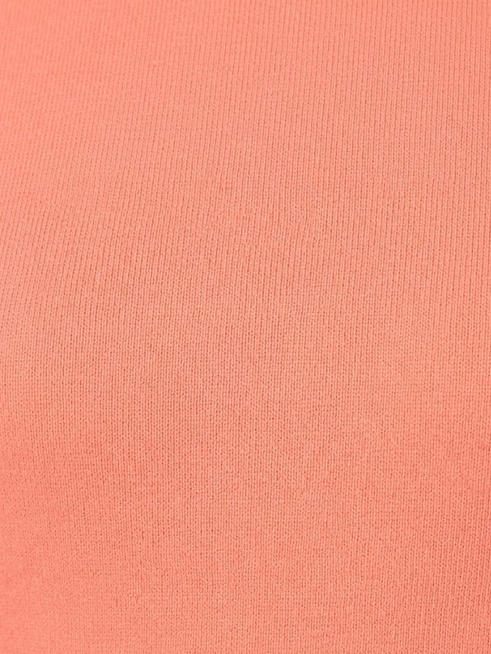 Comfort Lady Regular Fit Round Neck Plain Full Sleeve T-Shirt