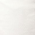 IVORY swatch
