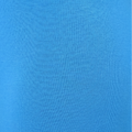 Tarkish Blue swatch
