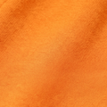 Persimonon Orange swatch