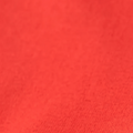 Solid Red swatch