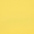 Solid Yellow swatch