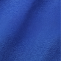 True Blue swatch